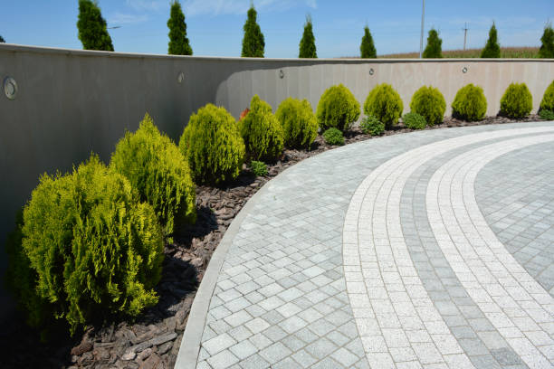 Residential Paver Driveway in Clifton, AZ